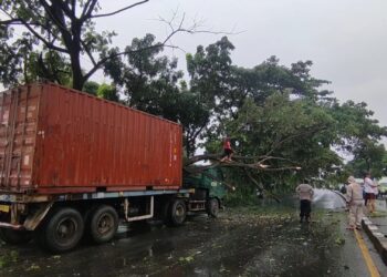 Pohon tumbang timpa kontainer, Pantura macet parah