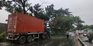 Pohon tumbang timpa kontainer, Pantura macet parah