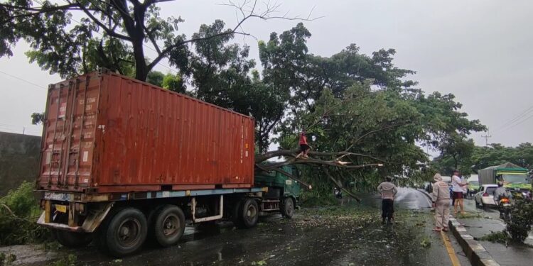 Pohon tumbang timpa kontainer, Pantura macet parah
