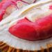 Pertama di Indonesia! Durian Merah Banyuwangi Resmi Ditetapkan Sebagai Indikasi Geografis