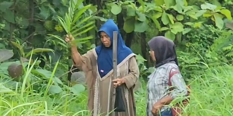 Pengelola kelabui warga, sebut tanam pohon salak ternyata sawit