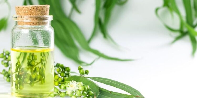 Viral Minum Air Campur Minyak Kayu Putih, Dokter Ungkap Bahayanya