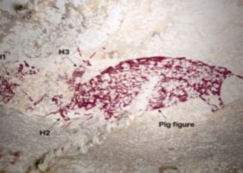 Lukisan Cadas Tertua di Dunia Berusia 67.800 Tahun Ditemukan di Sulawesi Tenggara
