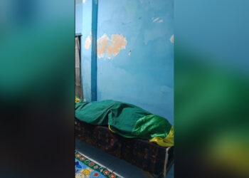 Teror ular resahkan warga, satu orang meninggal dunia