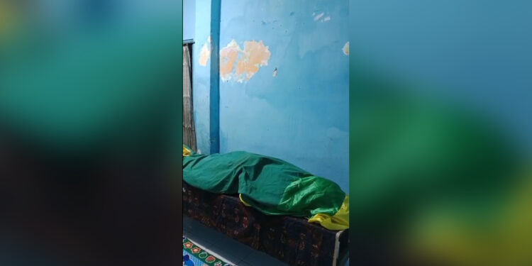 Teror ular resahkan warga, satu orang meninggal dunia