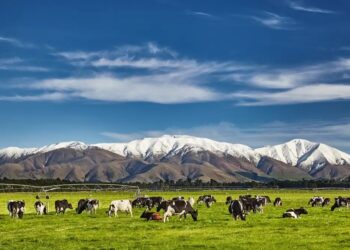 Selandia Baru Dinobatkan sebagai Destinasi Terbaik bagi Wisatawan Vegan