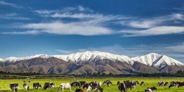 Selandia Baru Dinobatkan sebagai Destinasi Terbaik bagi Wisatawan Vegan