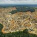 Studi Ungkap Deforestasi Bikin Nyamuk Makin Agresif Menghisap Darah Manusia