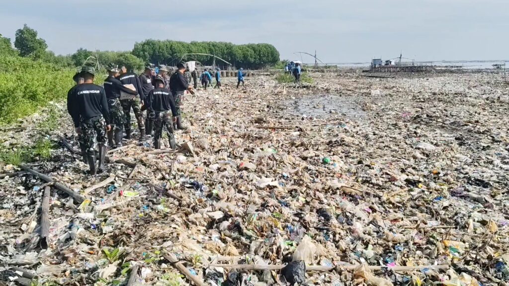 kegiatan bersih-bersih pantai Cirebon digelar Ketebalan sampah mencapai dua meter