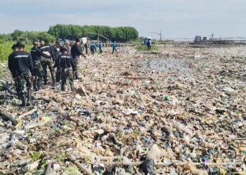 kegiatan bersih-bersih pantai Cirebon digelar Ketebalan sampah mencapai dua meter
