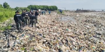 kegiatan bersih-bersih pantai Cirebon digelar Ketebalan sampah mencapai dua meter