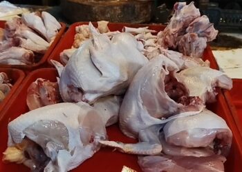 Jelang Ramadan, harga daging ayam meroket tajam