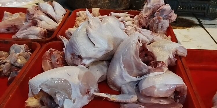 Jelang Ramadan, harga daging ayam meroket tajam