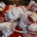 Jelang Ramadan, harga daging ayam meroket tajam