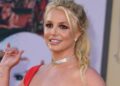 Britney Spears Valerie Macon/AFP via Getty Images