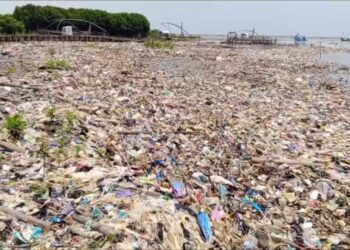 Volume sampah di pesisir pantai Kota Cirebon. semakin hari semakin menumpuk