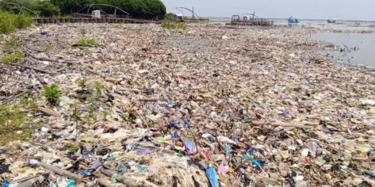 Volume sampah di pesisir pantai Kota Cirebon. semakin hari semakin menumpuk