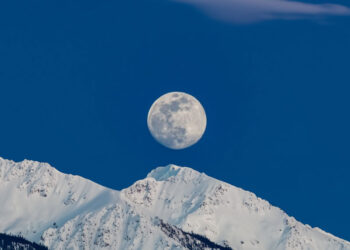 ilustrasi snow moon saat bulan terlihat jelas di malam hari dengan salju