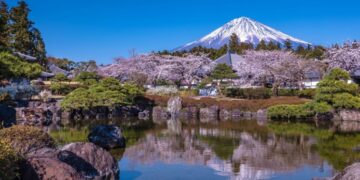 Jepang Jadi Destinasi Utama Wisata Musim Semi Asia Pasifik 2026