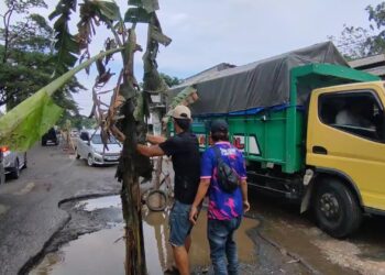 Kesal karena jalan tak kunjung diperbaiki, warga Desa Kanci, Kabupaten Cirebon, Jawa Barat, menggelar aksi protes pada Minggu pagi dengan menanam pohon pisang di lubang-lubang jalan yang rusak.