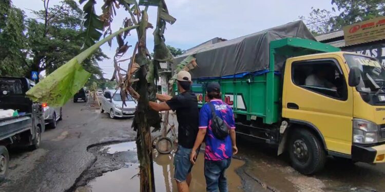 Kesal karena jalan tak kunjung diperbaiki, warga Desa Kanci, Kabupaten Cirebon, Jawa Barat, menggelar aksi protes pada Minggu pagi dengan menanam pohon pisang di lubang-lubang jalan yang rusak.