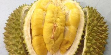 Foto: Getty Images/iStockphoto/ThamKC