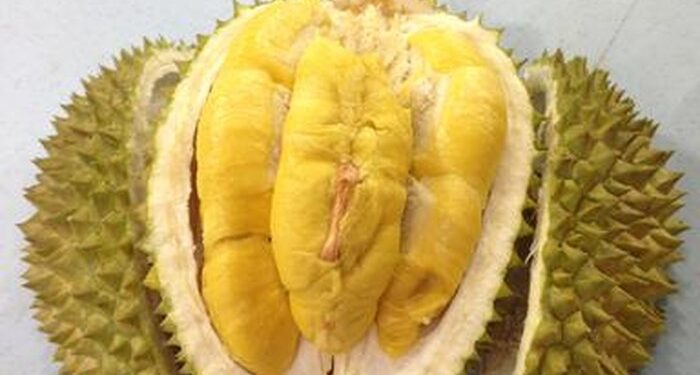 Foto: Getty Images/iStockphoto/ThamKC