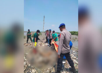Mayat tanpa identitas ditemukan di pesisir Muara Cirebon (Foto : Darfan)
