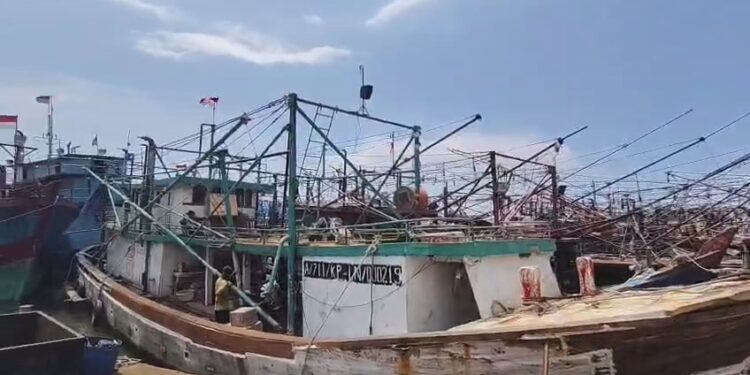 Solar industri langka, ratusan kapal nelayan teronggok di Pelabuhan Kejawanan (Foto : Darfan)