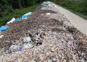 Tumpukan limbah kerang hijau menggunung di tanggul sungai (Foto : Darfan)