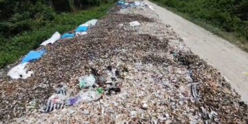 Tumpukan limbah kerang hijau menggunung di tanggul sungai (Foto : Darfan)