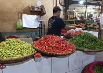 Pasokan cabai sulit, harga cabai kembali meroket (Foto : Darfan)