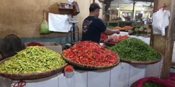 Pasokan cabai sulit, harga cabai kembali meroket (Foto : Darfan)