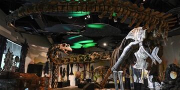 Model kerangka Nagatitan chaiyaphumensis, dinosaurus terbesar di Thailand, difoto di Museum Thainosaur di Bangkok, Thailand, Jumat (15/5/2026). Foto: Lillian SUWANRUMPHA / AFP
