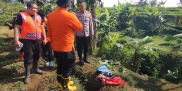 Petugas gabungan dari BPBD, polisi, TNI, relawan, serta masyarakat melakukan pencarian warga yang hilang di area ladang Desa Ragawacana, Kecamatan Kramatmulya, Kabupaten Kuningan (Foto : Darfan)