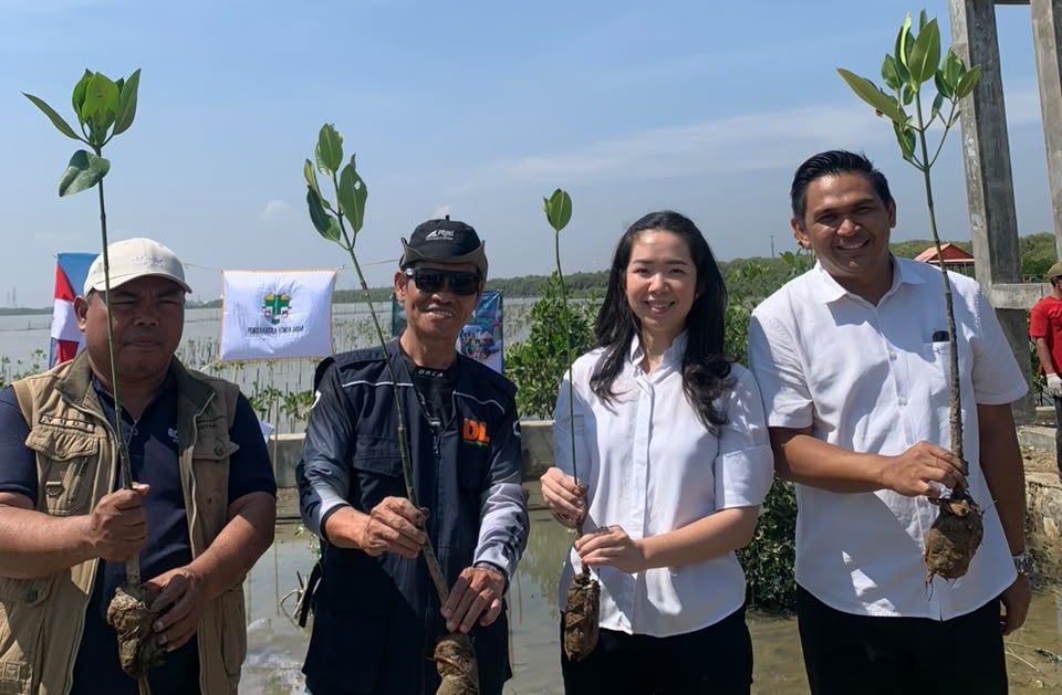 Jaga biota laut tetap terjaga, Anggota DPRD Kota Cirebon Laurentia mellynda Bersama Pemuda Katolik dan KNPI Jabar Tanam 500 pohon Mangrove (Tangkapan Layar)