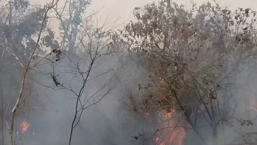 Kawasan Hutan Gunung Ciremai Terbakar Hebat, Petugas Kesulitan Padamkan Api (Foto : Darfan)