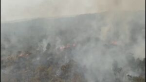 Sudah Lima Blok Hutan Terbakar Seluas 40 Hektare, Tim Gabungan Masih Lakukan Pemadaman (Tangkapan Layar)