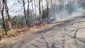 Nyaris Membakar TPA, Lahan Seluas Satu Hektare Terbakar Hebat (Foto : Darfan)