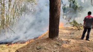 Kebakaran Lahan Area Rumah Sakit Sidawangi Bikin Panik Petugas dan Pasien (Foto : Darfan)