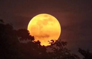 Hunter’s Moon Oktober 2026 Muncul Malam Ini, Ini Jadwal dan Waktu Terbaik Melihatnya (Tangkapan Layar)
